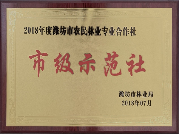 市级示范社